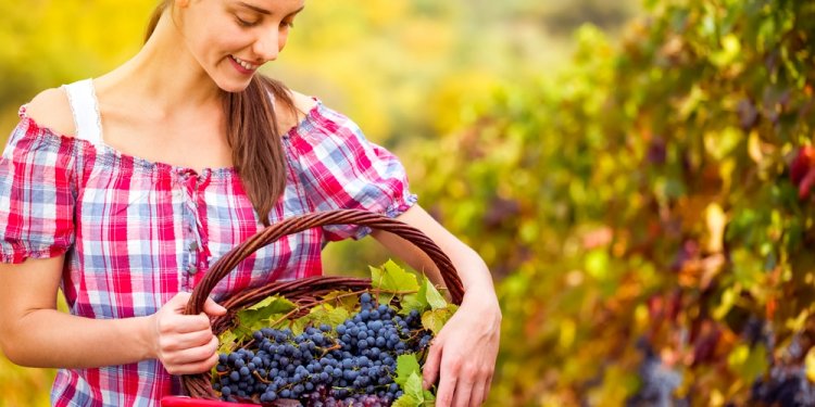 The 20 Most Fun Self Employed