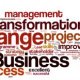 What is business organization and Management?