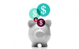 startup vs. business image