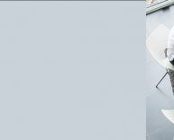 NC Small Business License