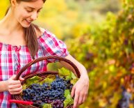 Self employed Starter pack