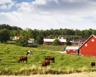 Starting an Organic Farming business