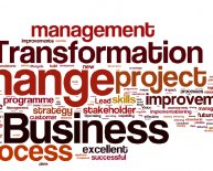 What is business organization and Management?